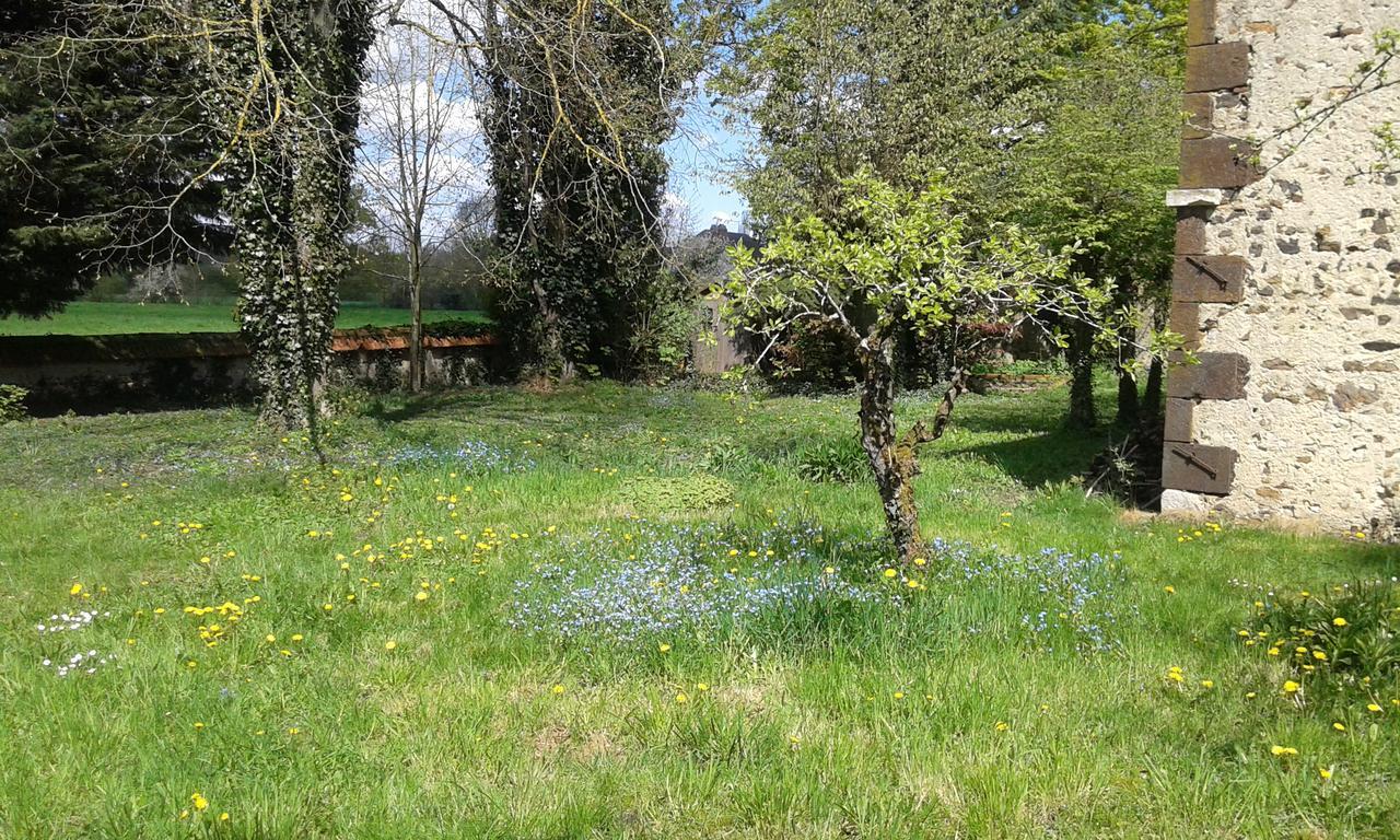 La Sauldre Acomodação com café da manhã Vailly-sur-Sauldre Exterior foto